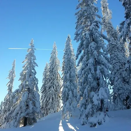 Bergblick