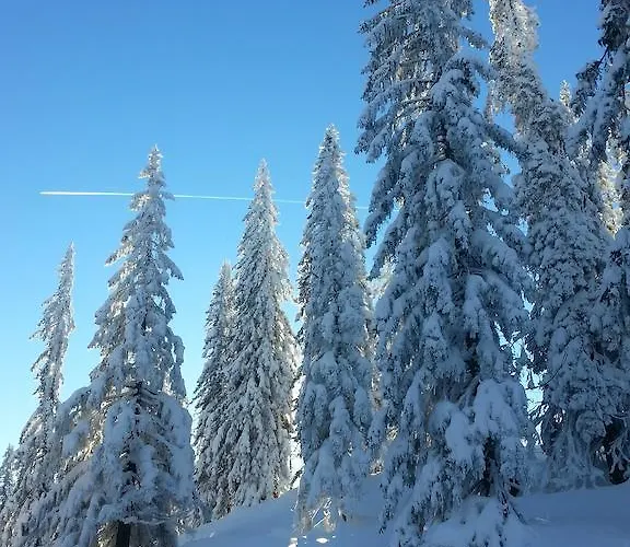 Bergblick