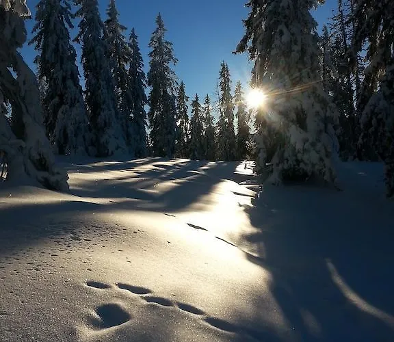 Lejlighed Bergblick Filzmoos